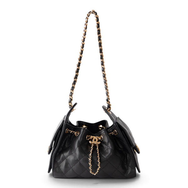 Chanel Hobo 25 Mini - Caviar